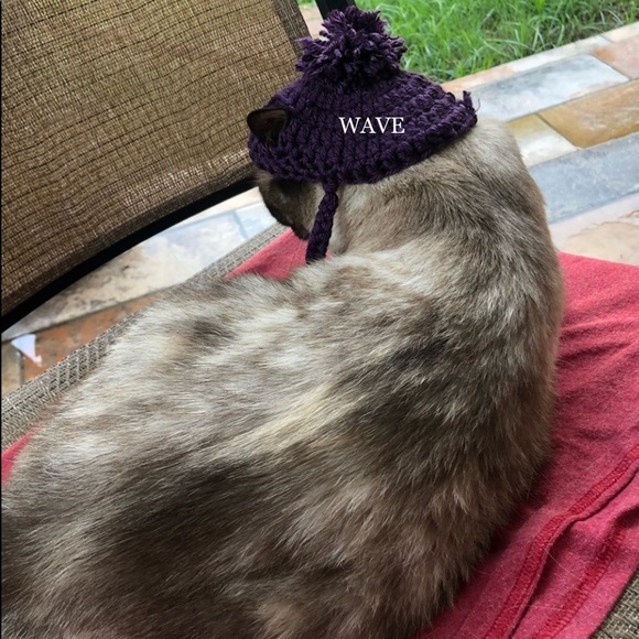 🐈‍⬛🐈😻matching beanie for your cat😽😸pom&braids - Picture 7 of 12